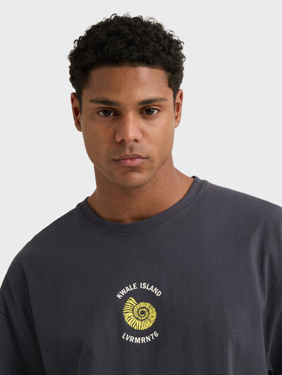 CAMISETA ISLAND GRIS