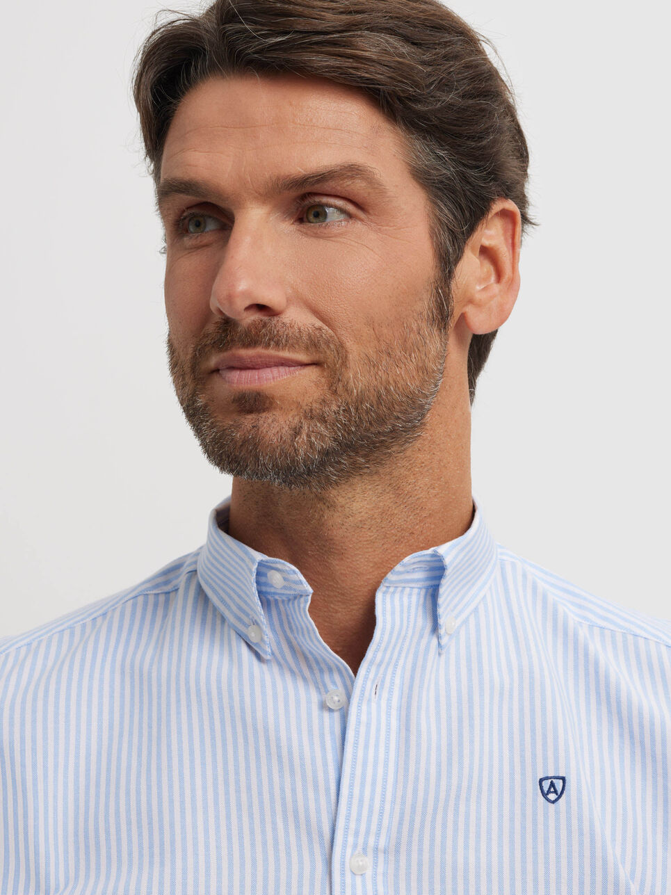 CAMISA OXFORD RAYAS BASIC