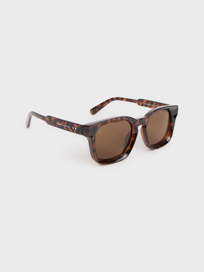 GAFAS STUDIO