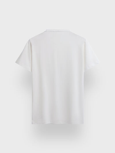 CAMISETA BASICA