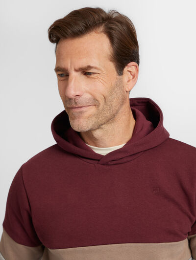 SUDADERA TRICOLOR