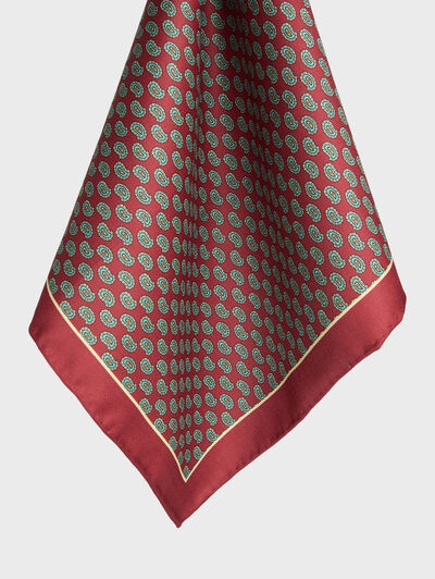 PA&Ntilde;UELO PRINTED BURDEOS