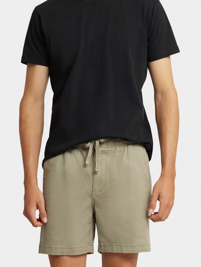 BERMUDA DAVIS VERDE