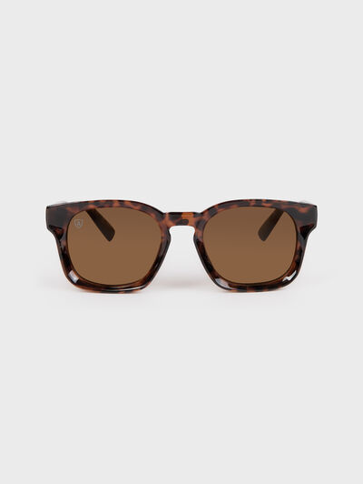 GAFAS STUDIO