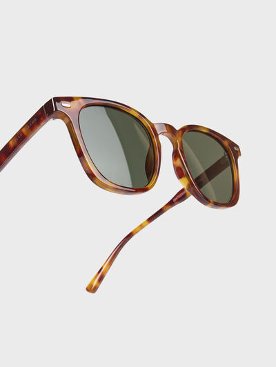 GAFAS NEWMAN