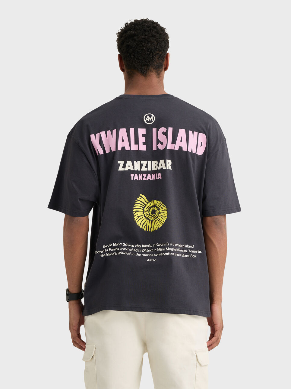 CAMISETA ISLAND