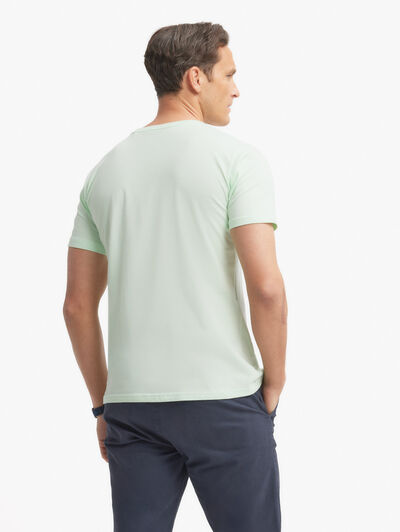 CAMISETA BASICA VERDE