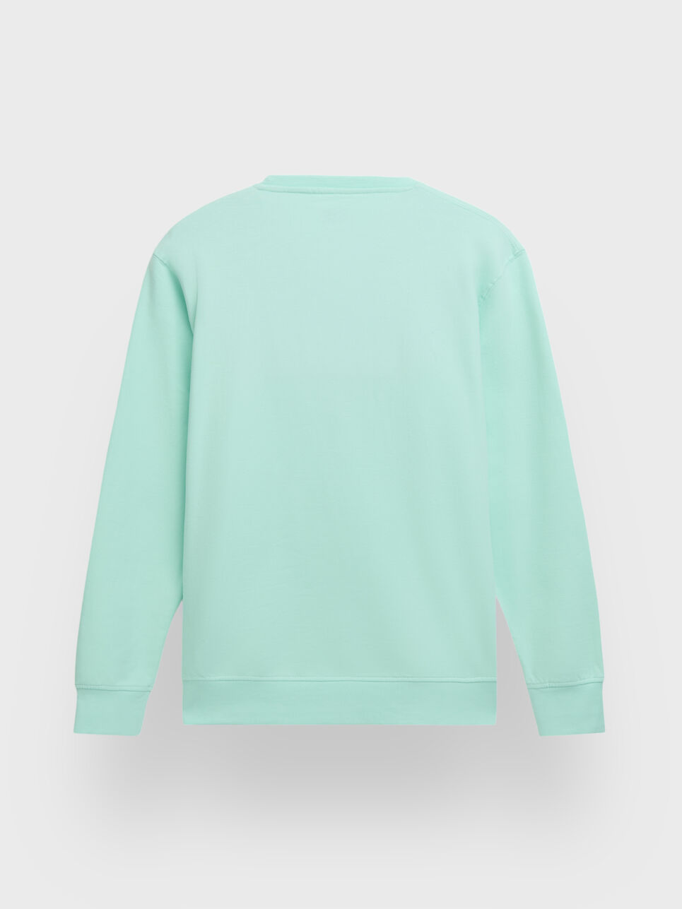 SUDADERA BASIC SPRING