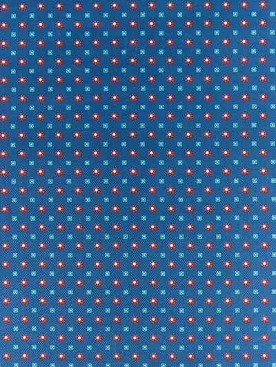PAÑUELO PRINTED