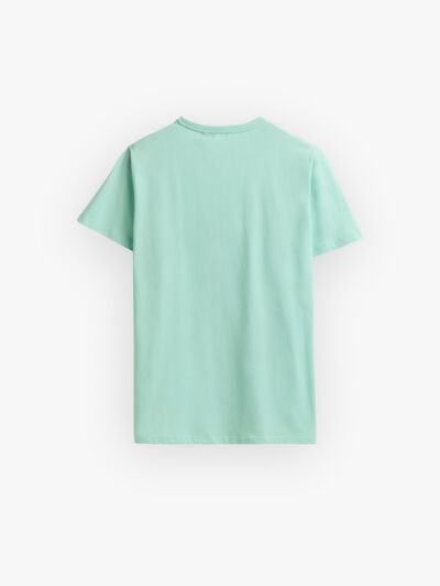 CAMISETA BASICA VERDE