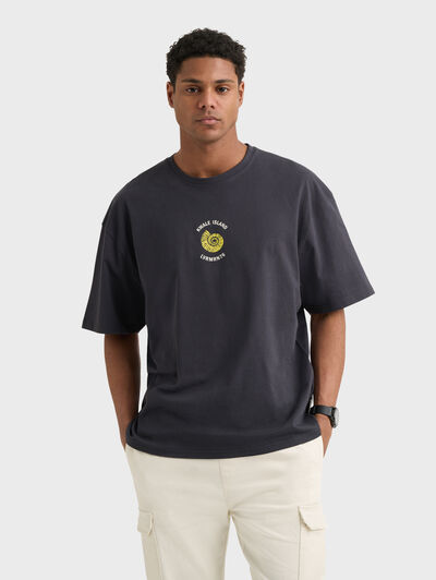 CAMISETA ISLAND GRIS