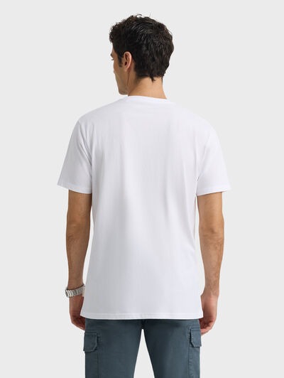 CAMISETA AM