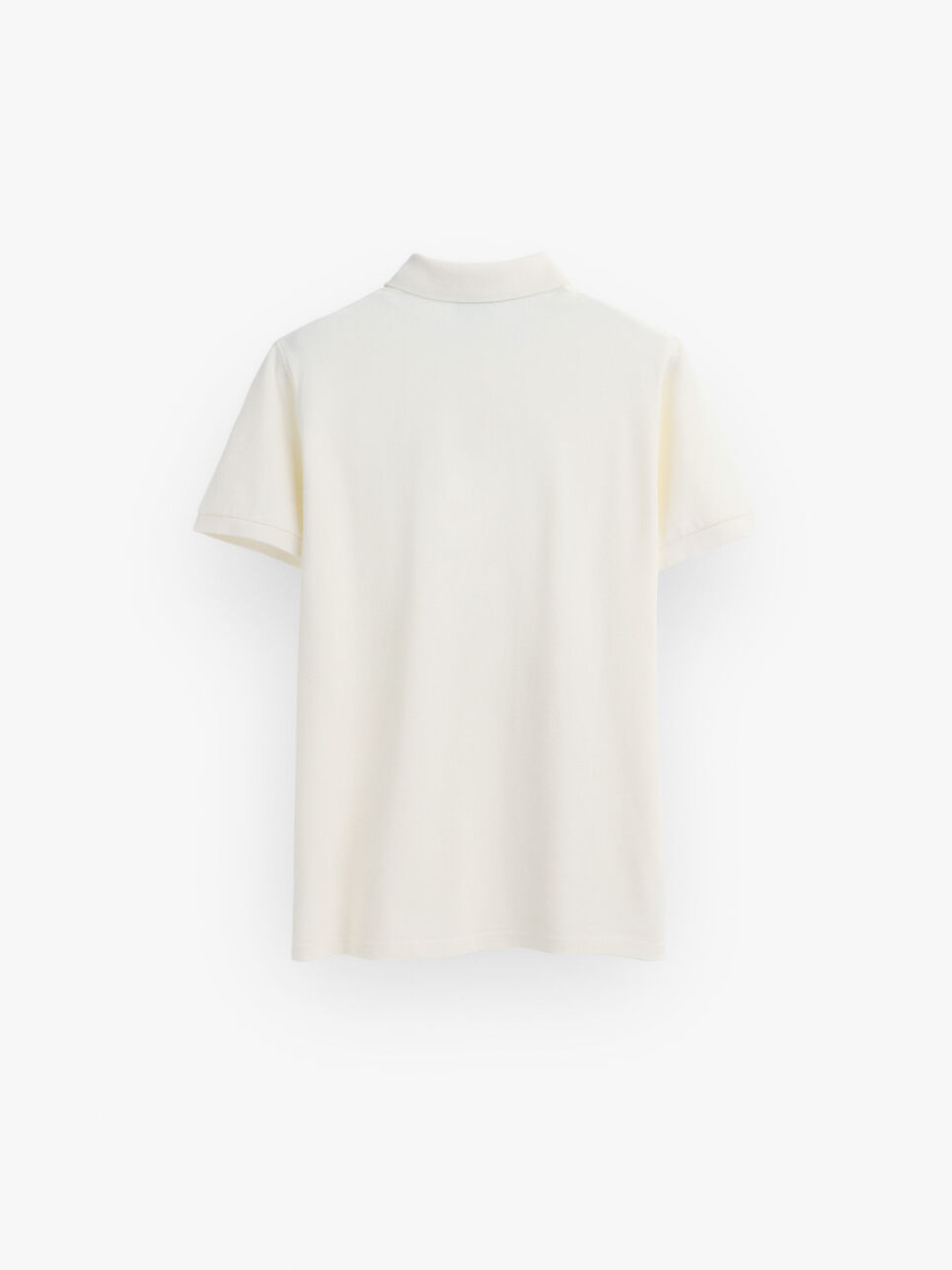 POLO TRENDY
