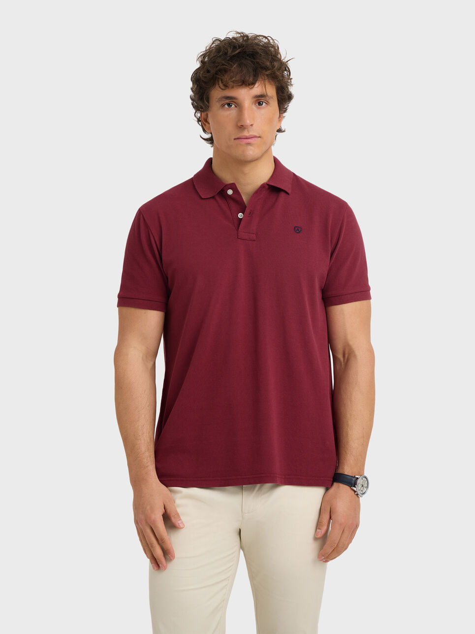 POLO BASIC