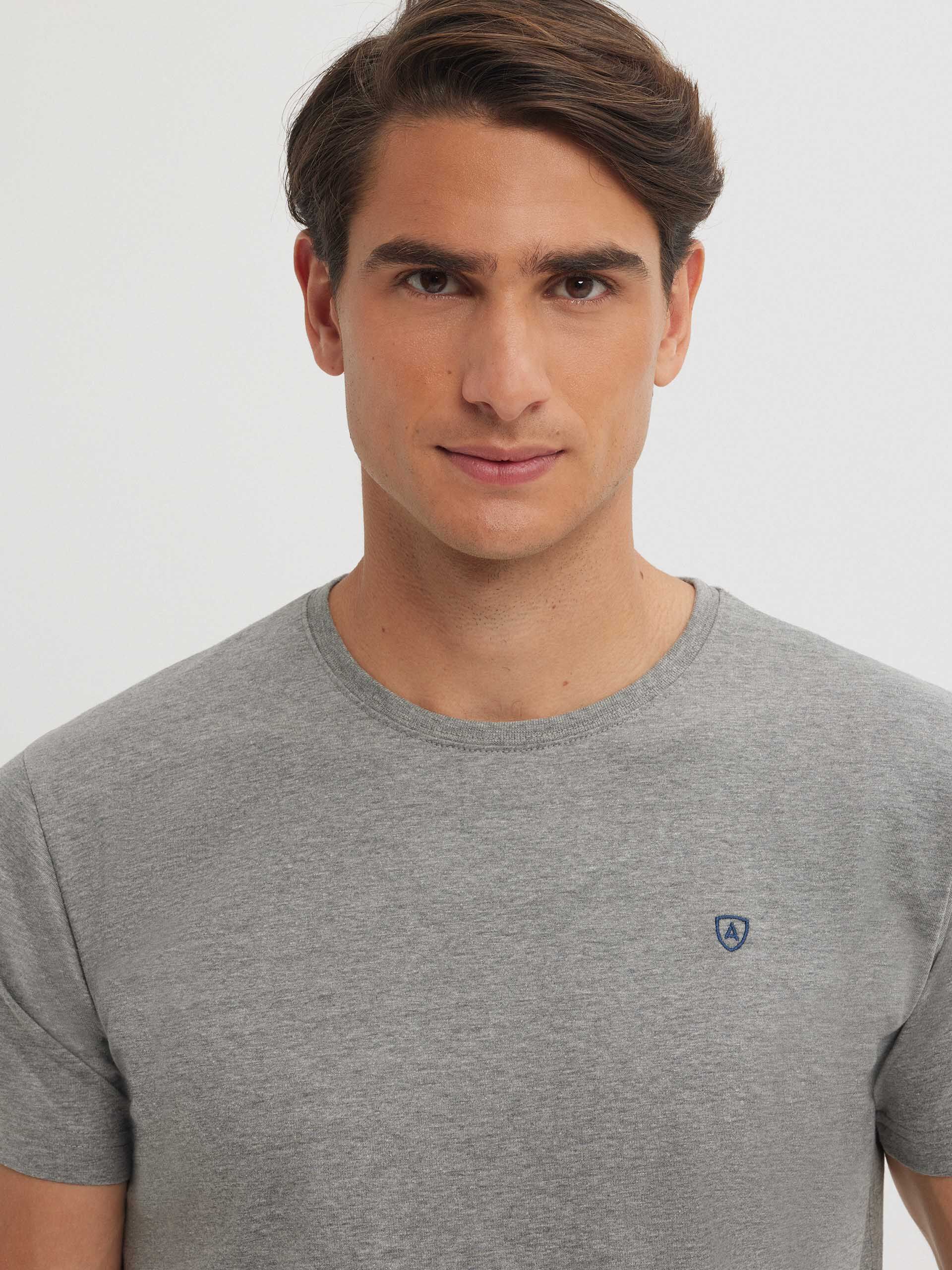 CAMISETA BASICA GRIS