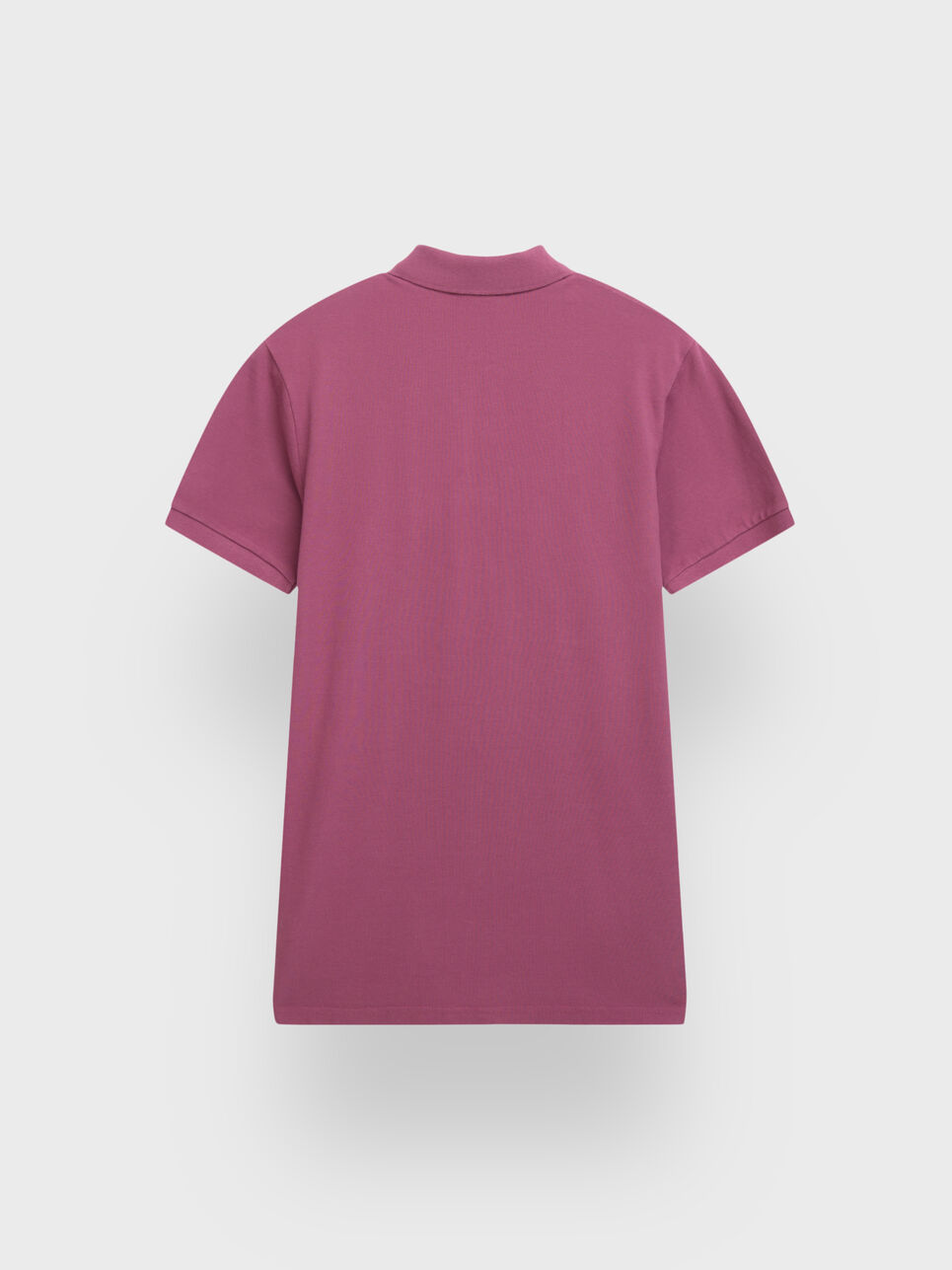 POLO BASIC