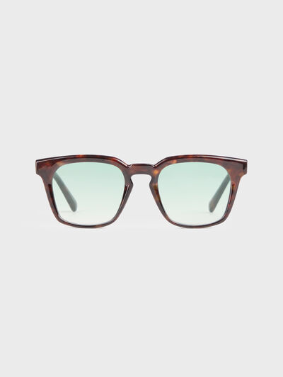 GAFAS DETROIT CAMEL