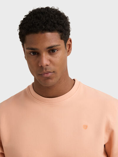 SUDADERA BASIC FANCY SALM&Oacute;N