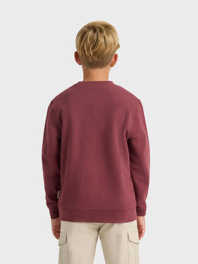 SUDADERA OFFICIAL KIDS