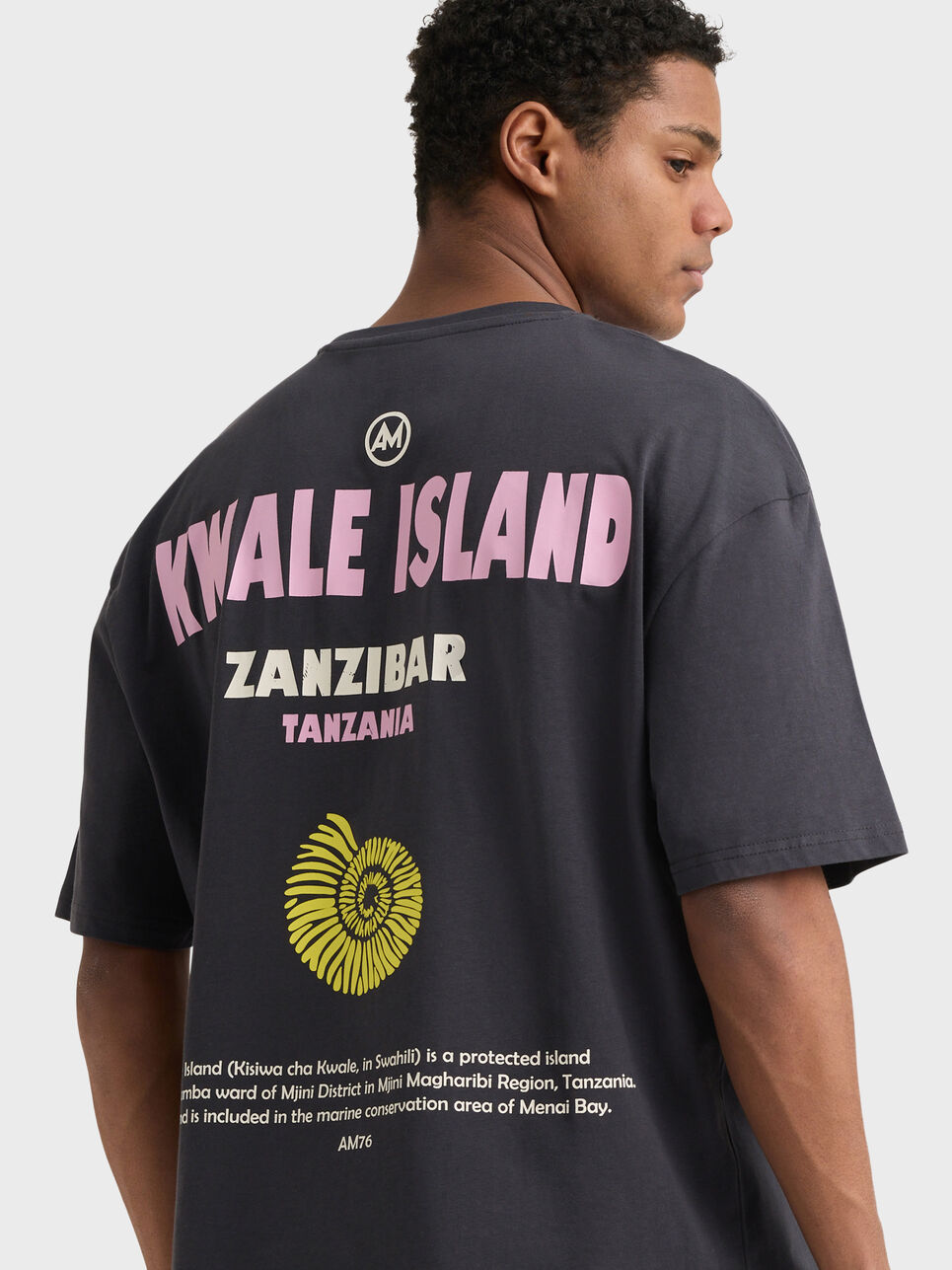 CAMISETA ISLAND