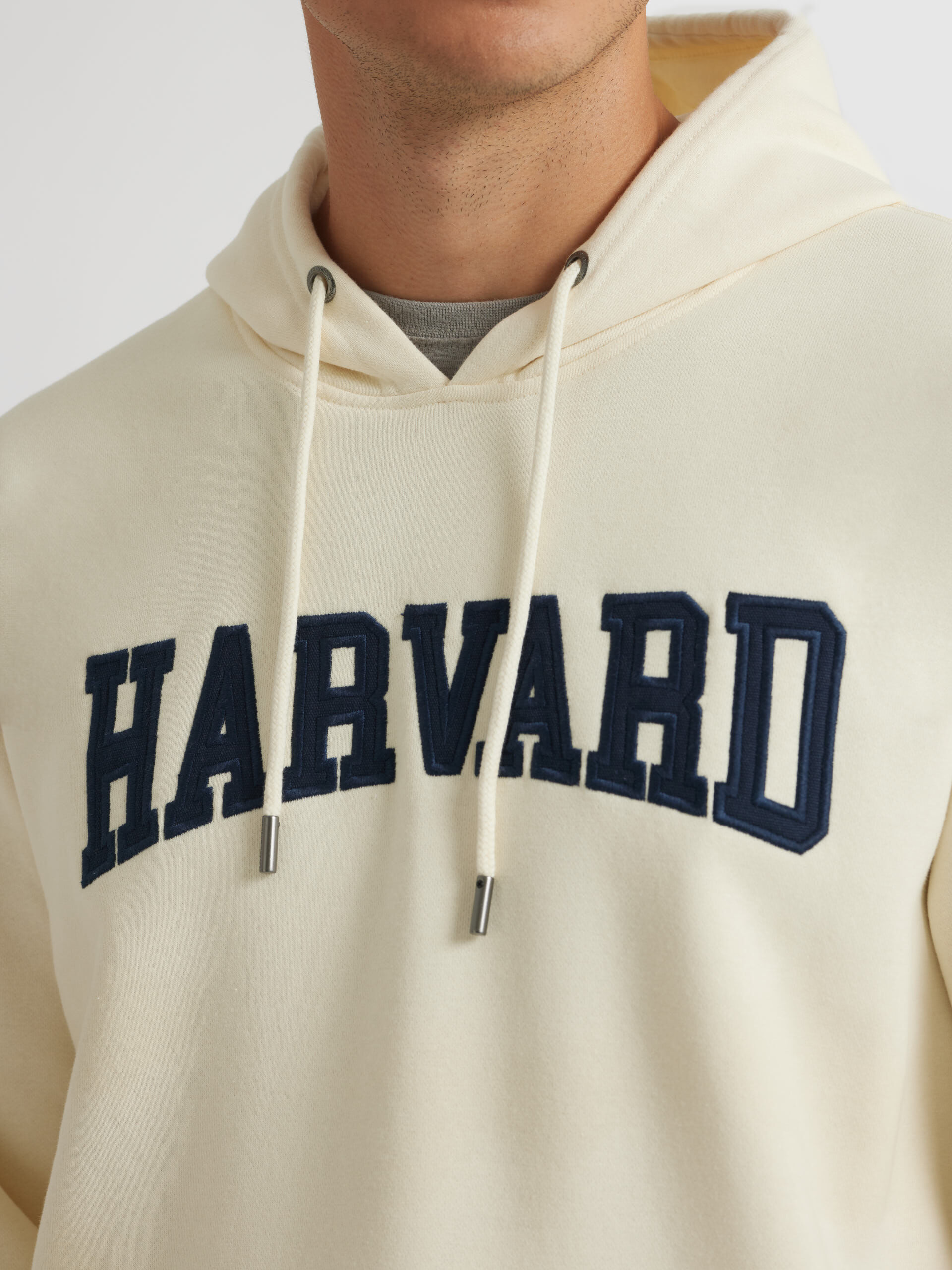 Sudadera hotsell harvard champion
