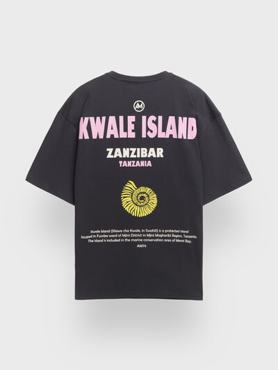 CAMISETA ISLAND GRIS