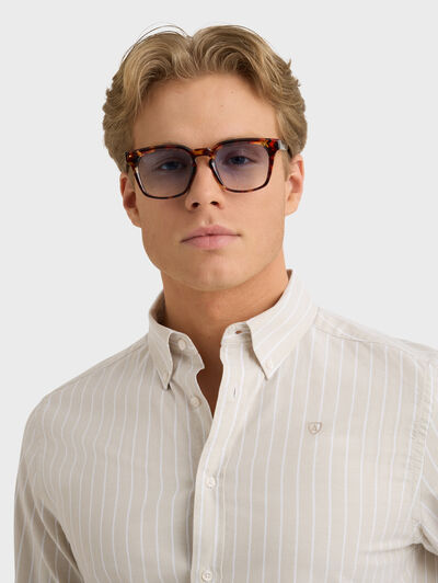 CAMISA OXFORD STRIPES VERDE