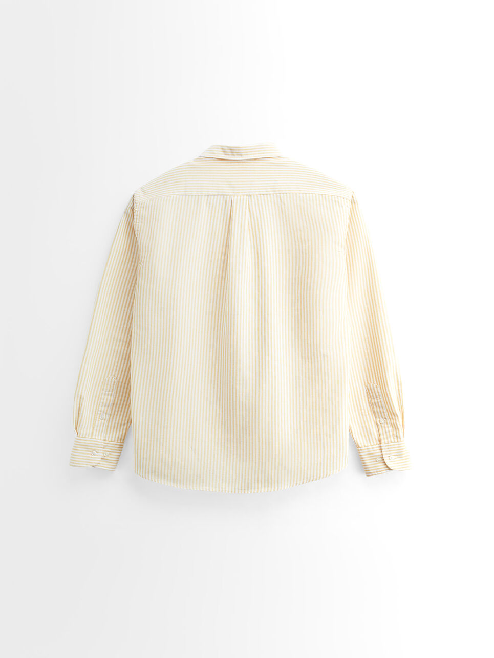 CAMISA OXFORD NEW BASIC