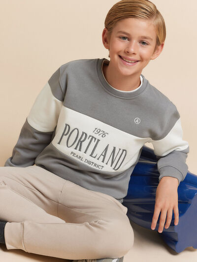 SUDADERA PORTLAND KIDS GRIS