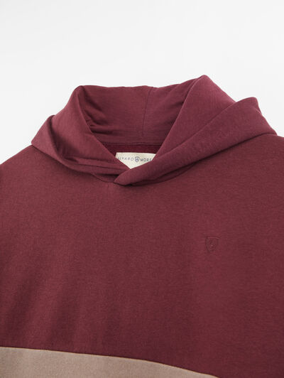 SUDADERA TRICOLOR