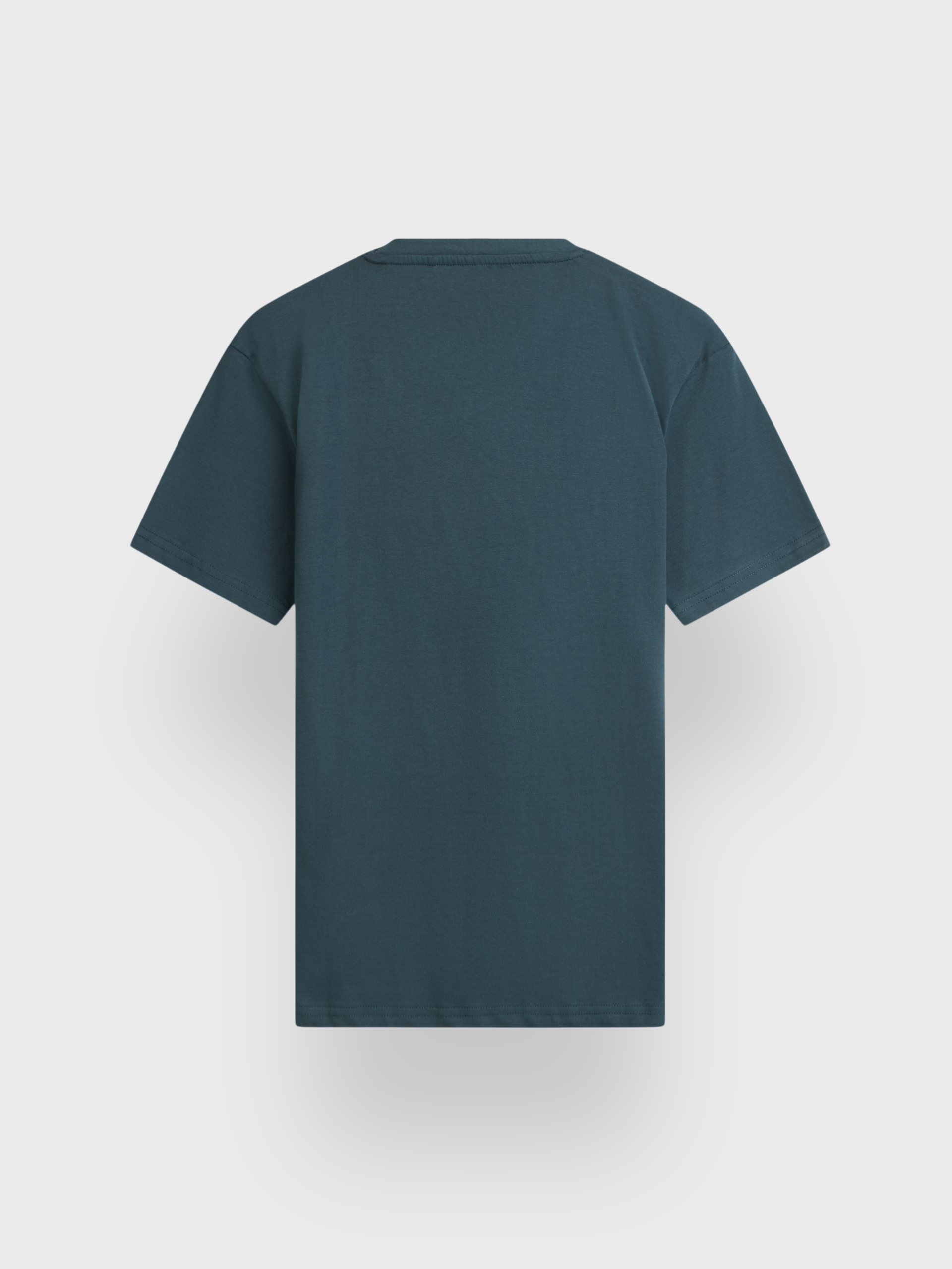 CAMISETA BASICA