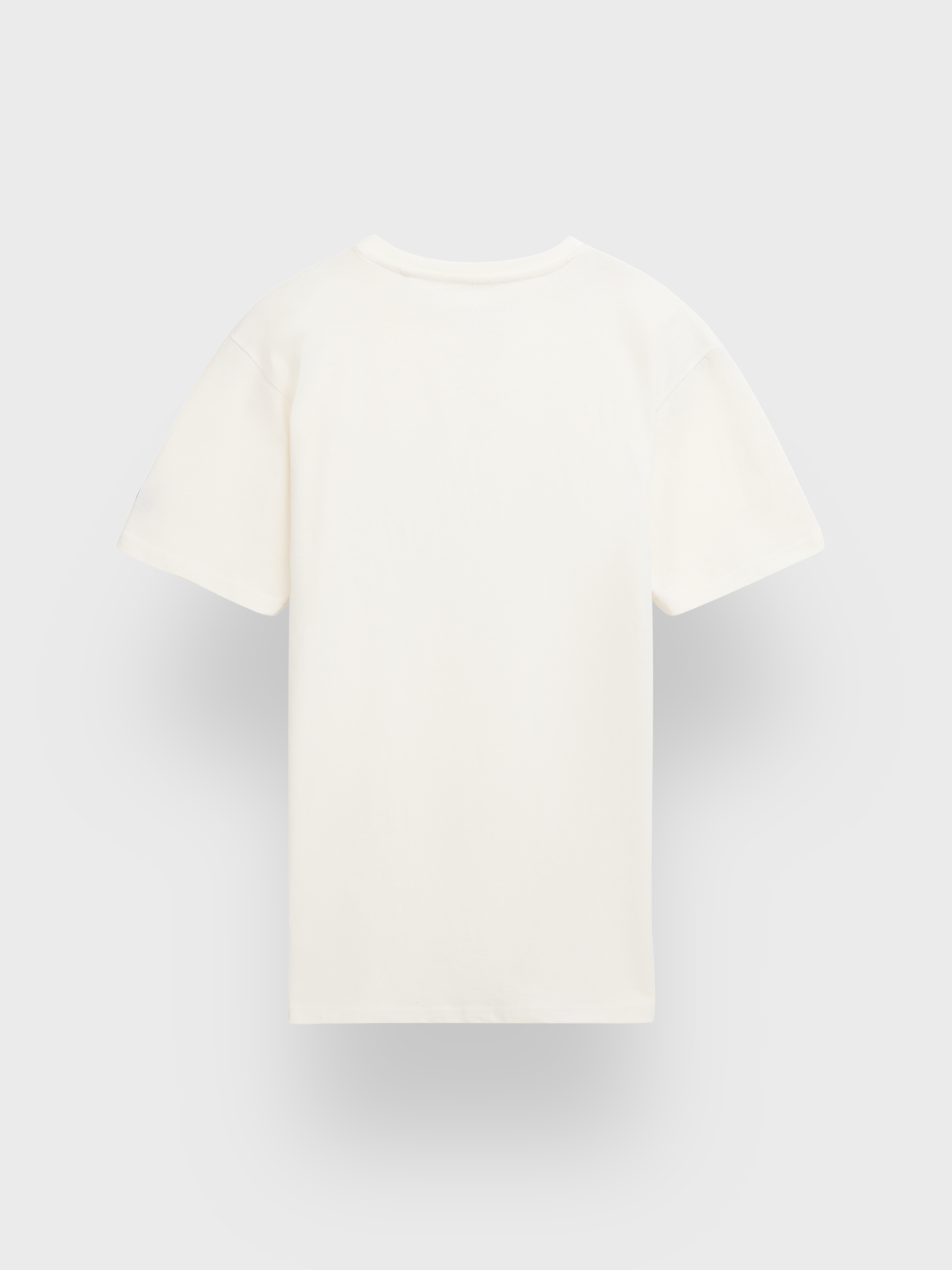 CAMISETA BRONSON