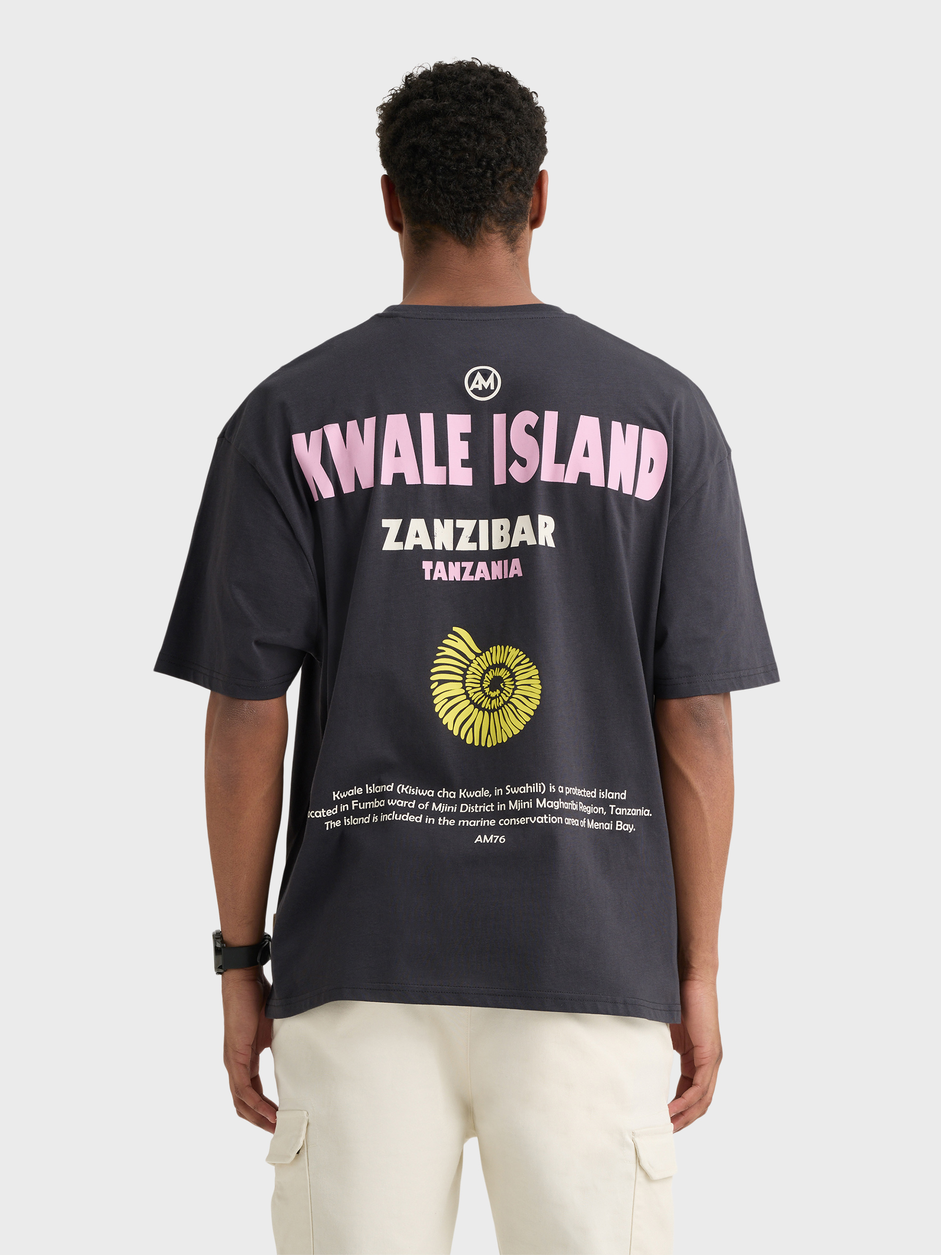 CAMISETA ISLAND GRIS