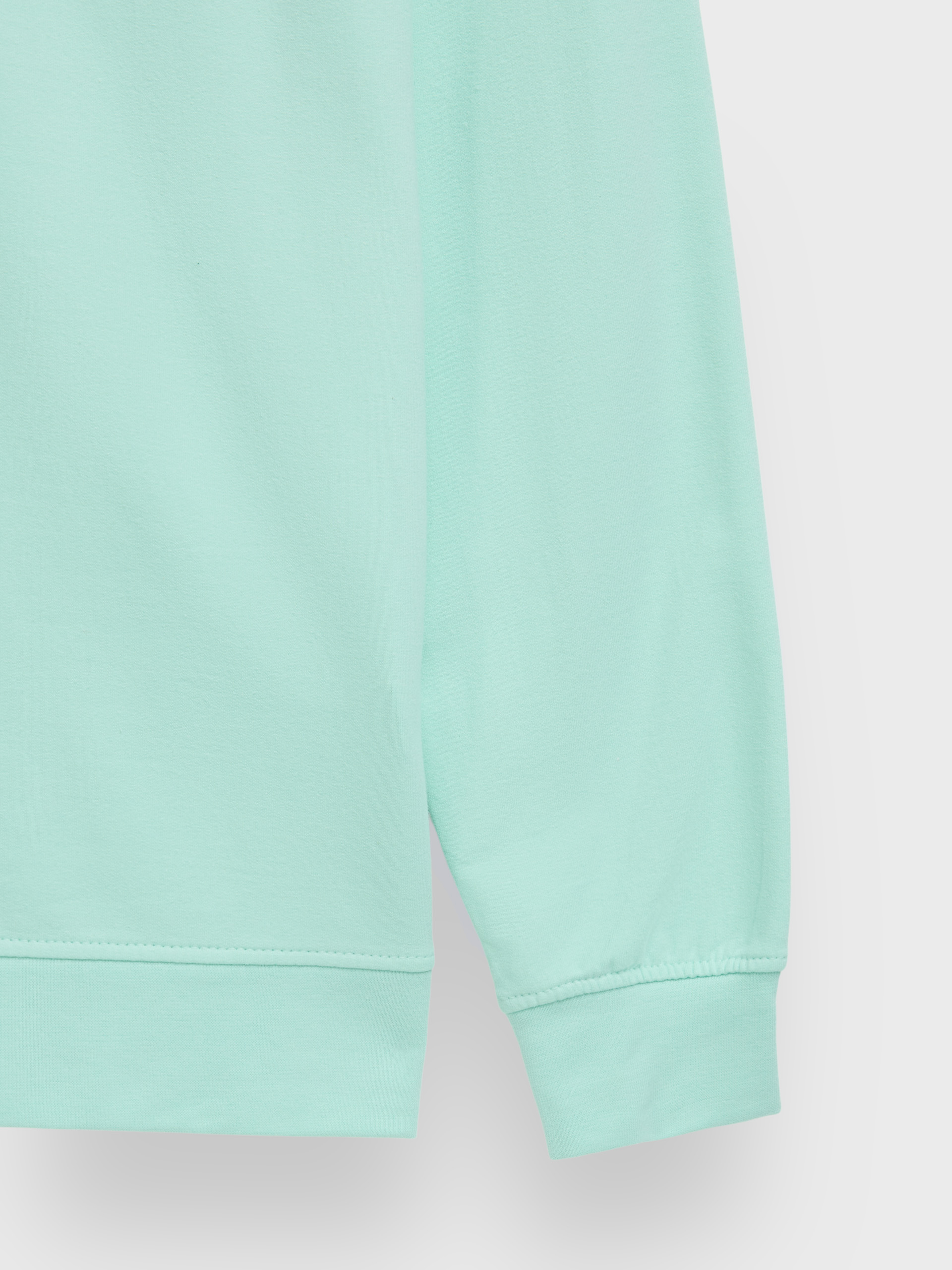 SUDADERA BASIC SPRING