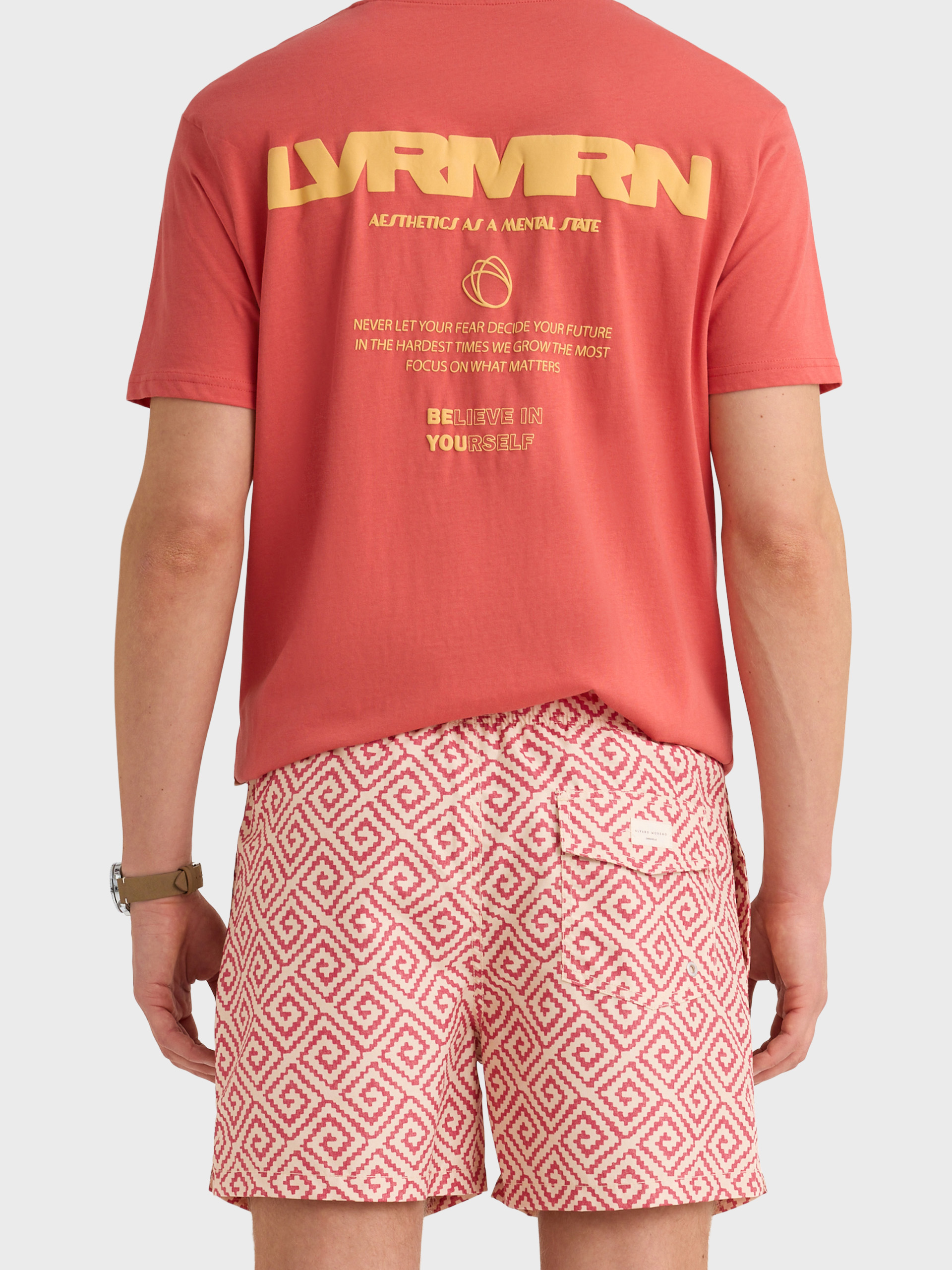 BA&Ntilde;ADOR VEXEL