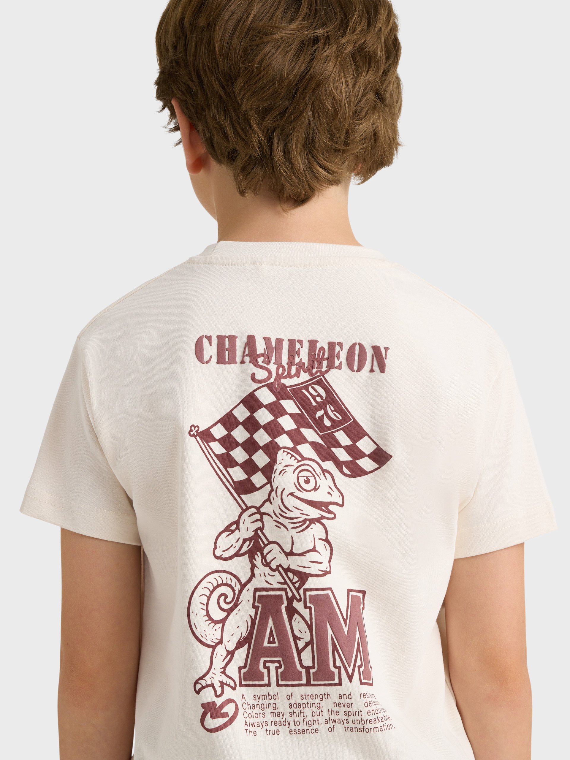 CAMISETA CHAMELEON KIDS