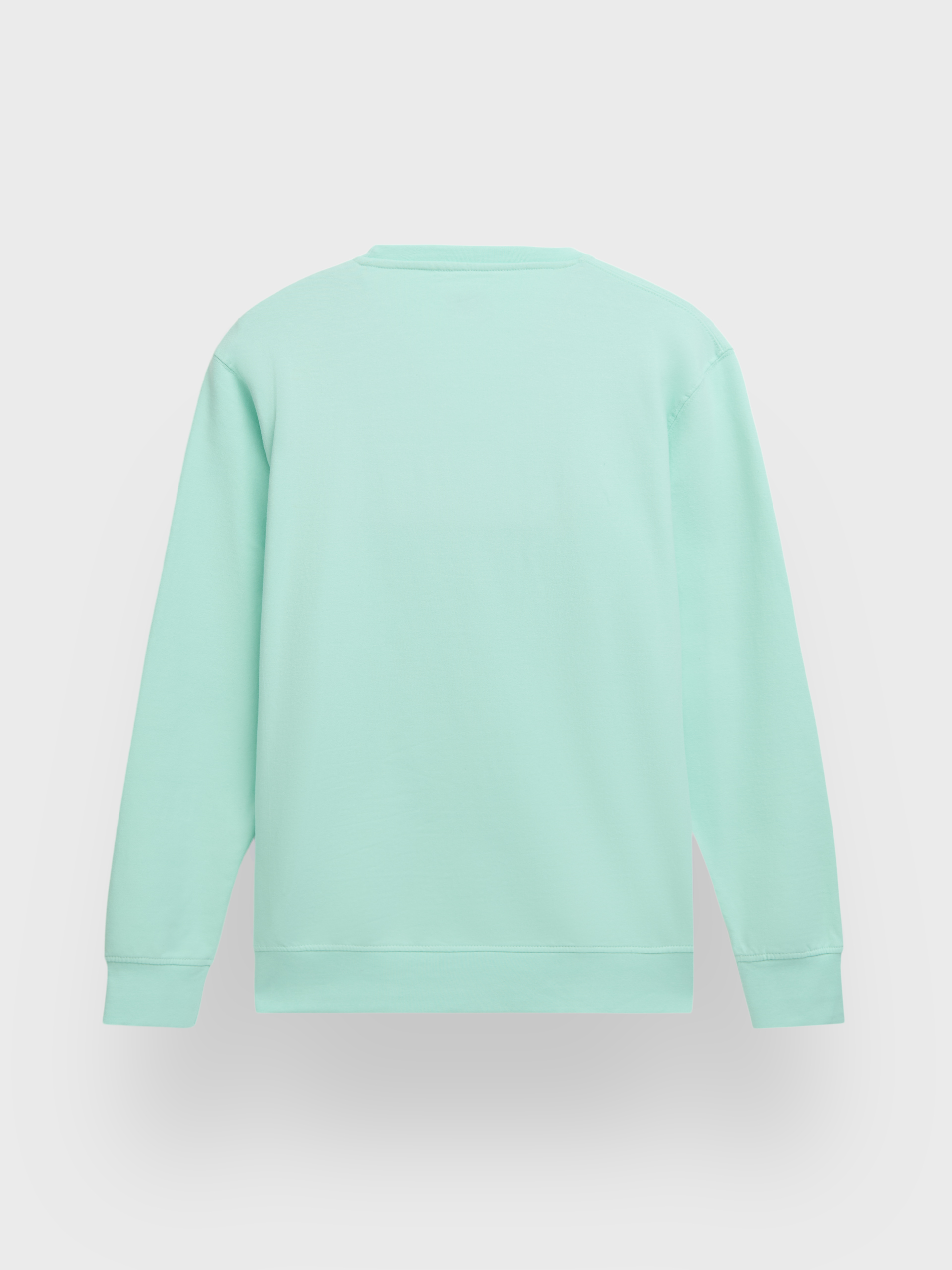 SUDADERA BASIC SPRING