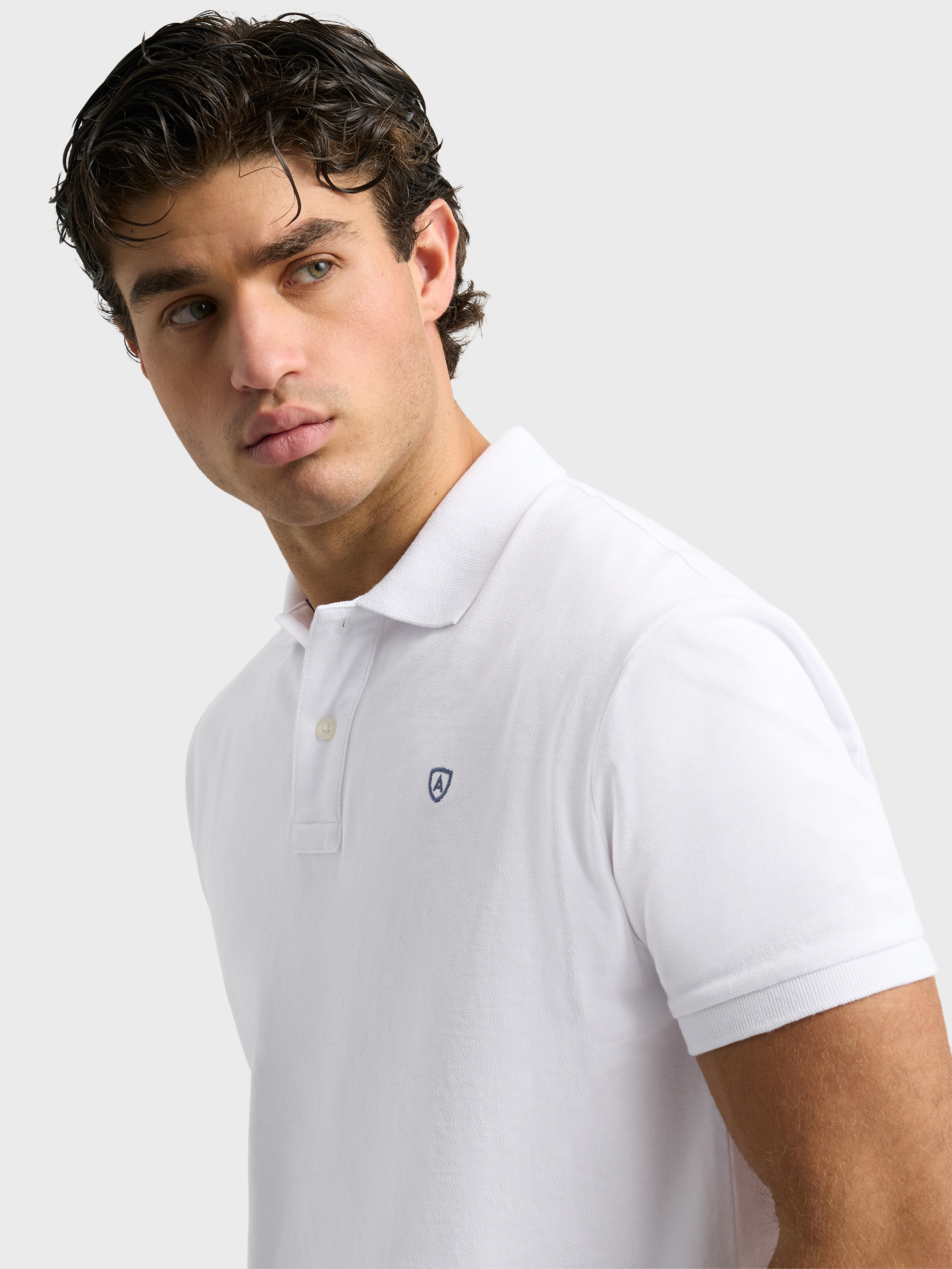 POLO BASIC