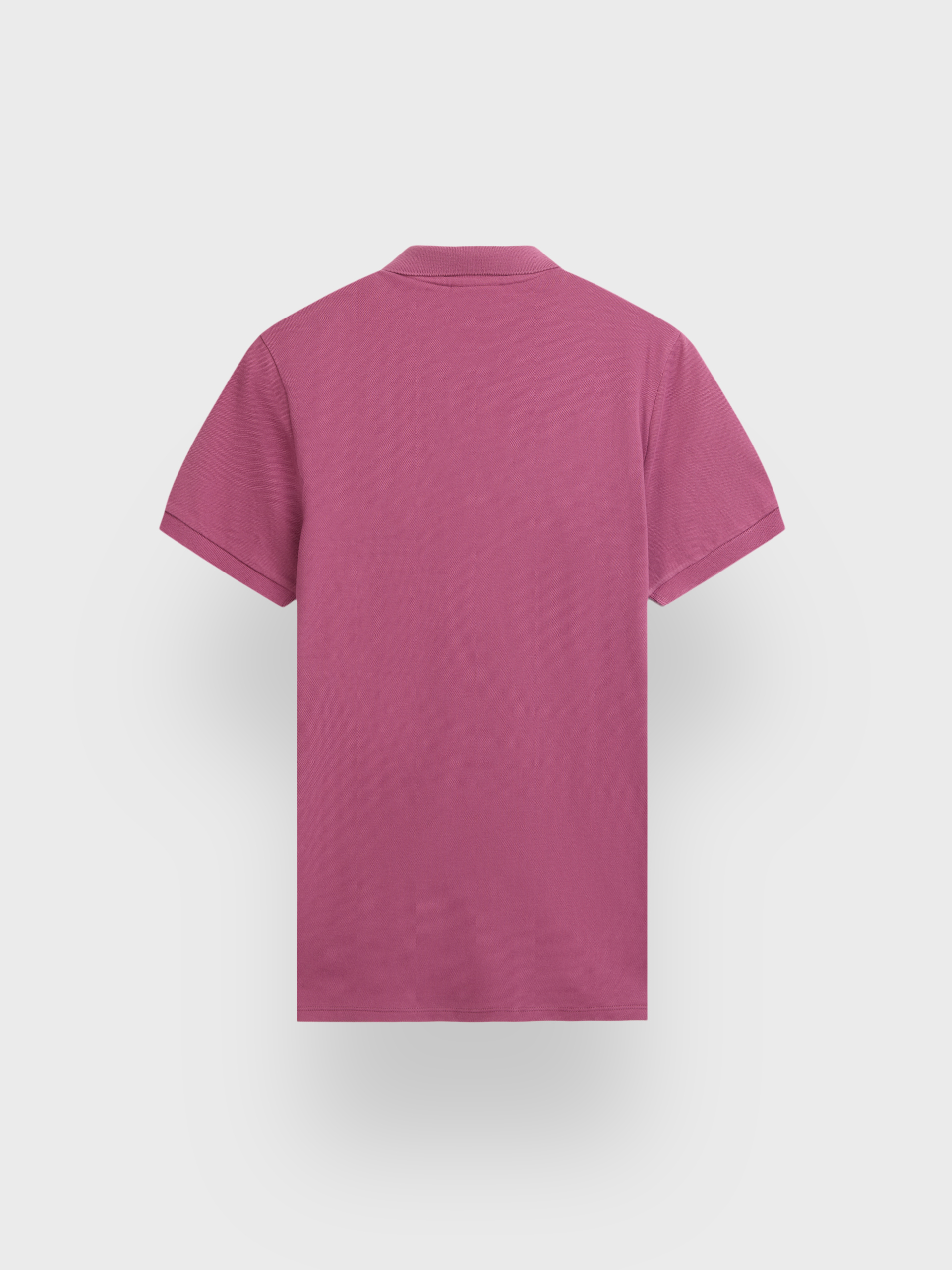 POLO NEWTON