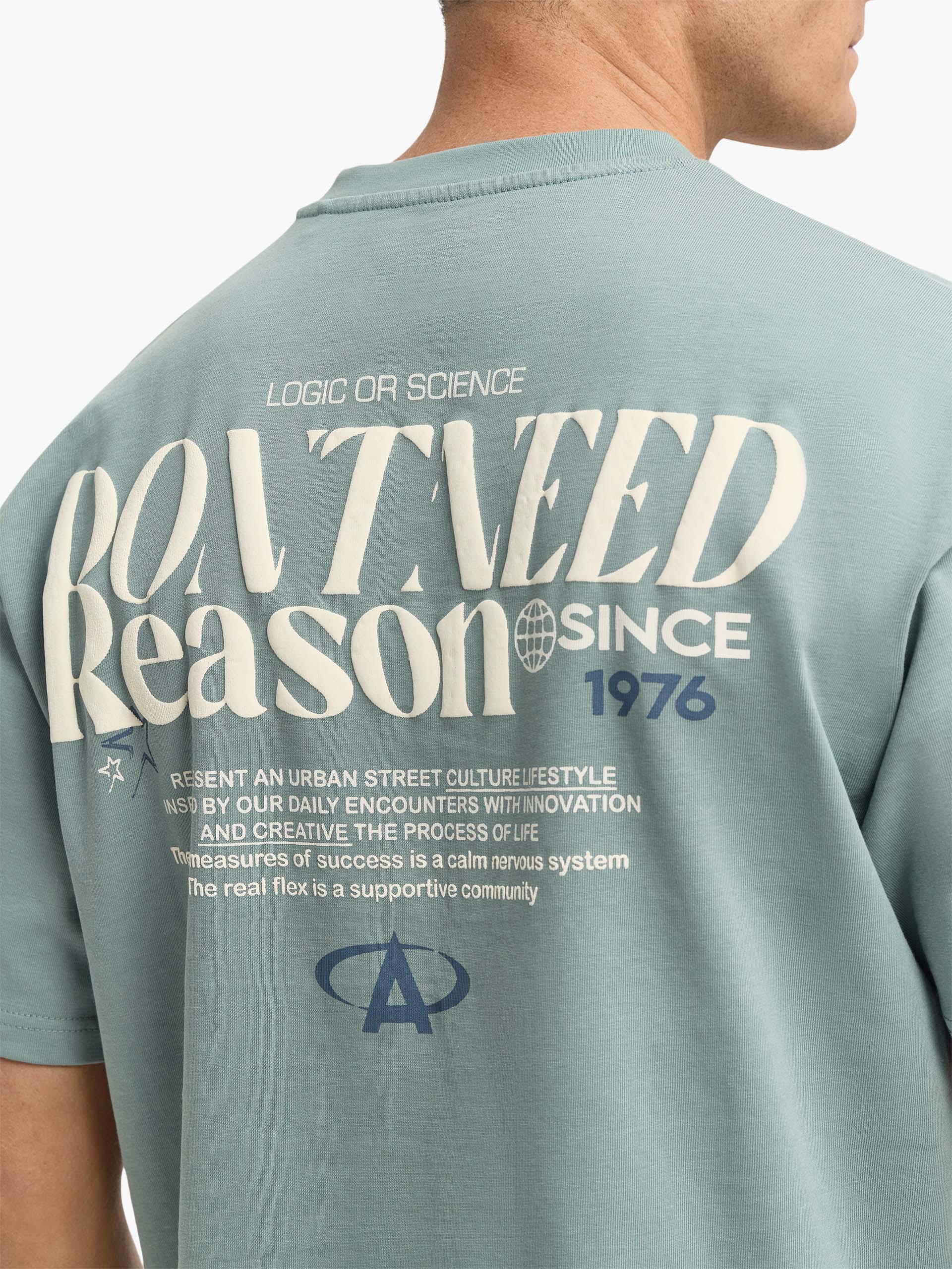 CAMISETA REASON