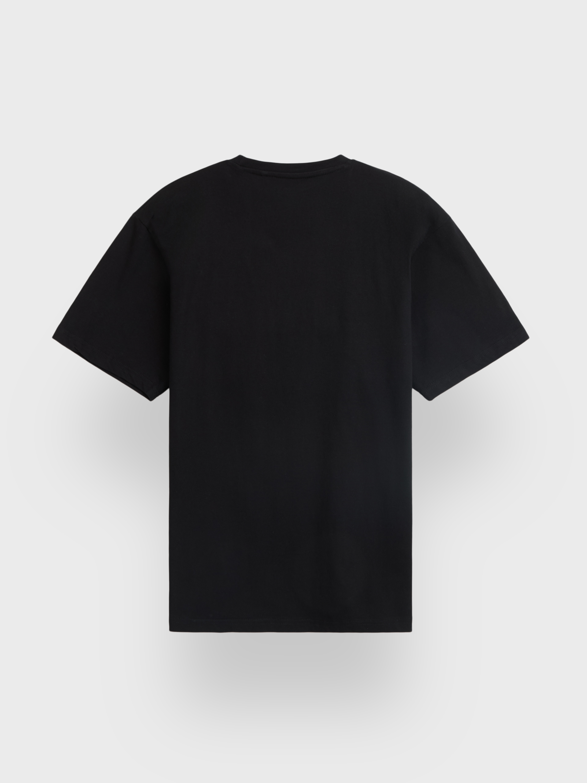 CAMISETA BASICA