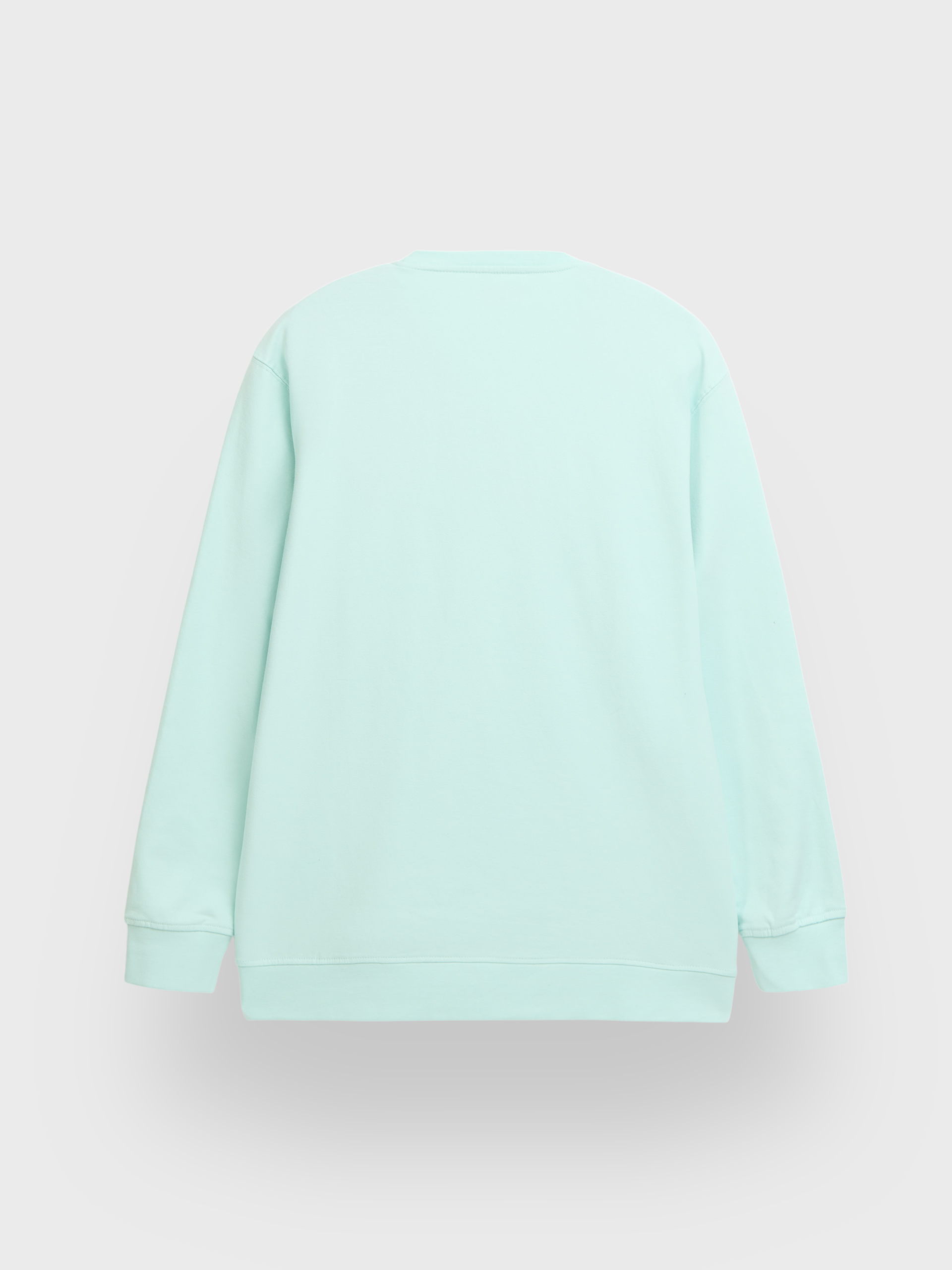SUDADERA BASIC SPRING