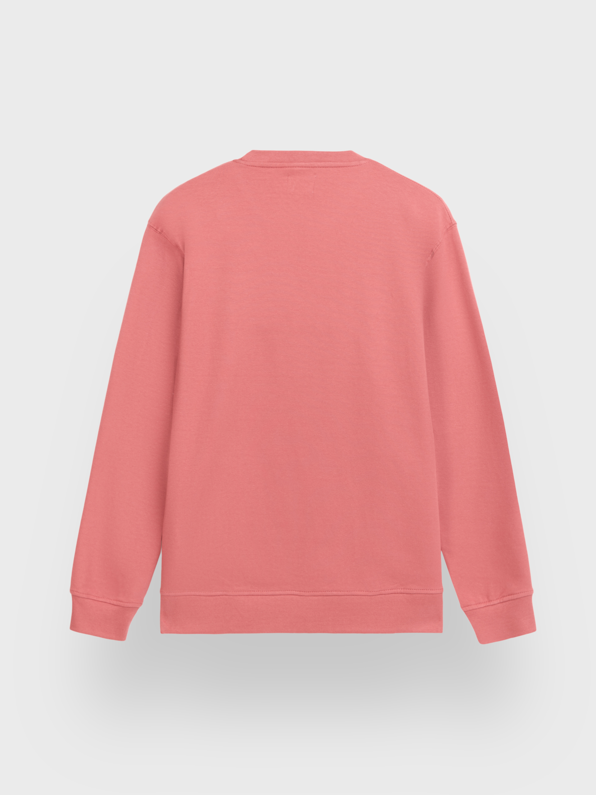 SUDADERA BASIC SPRING