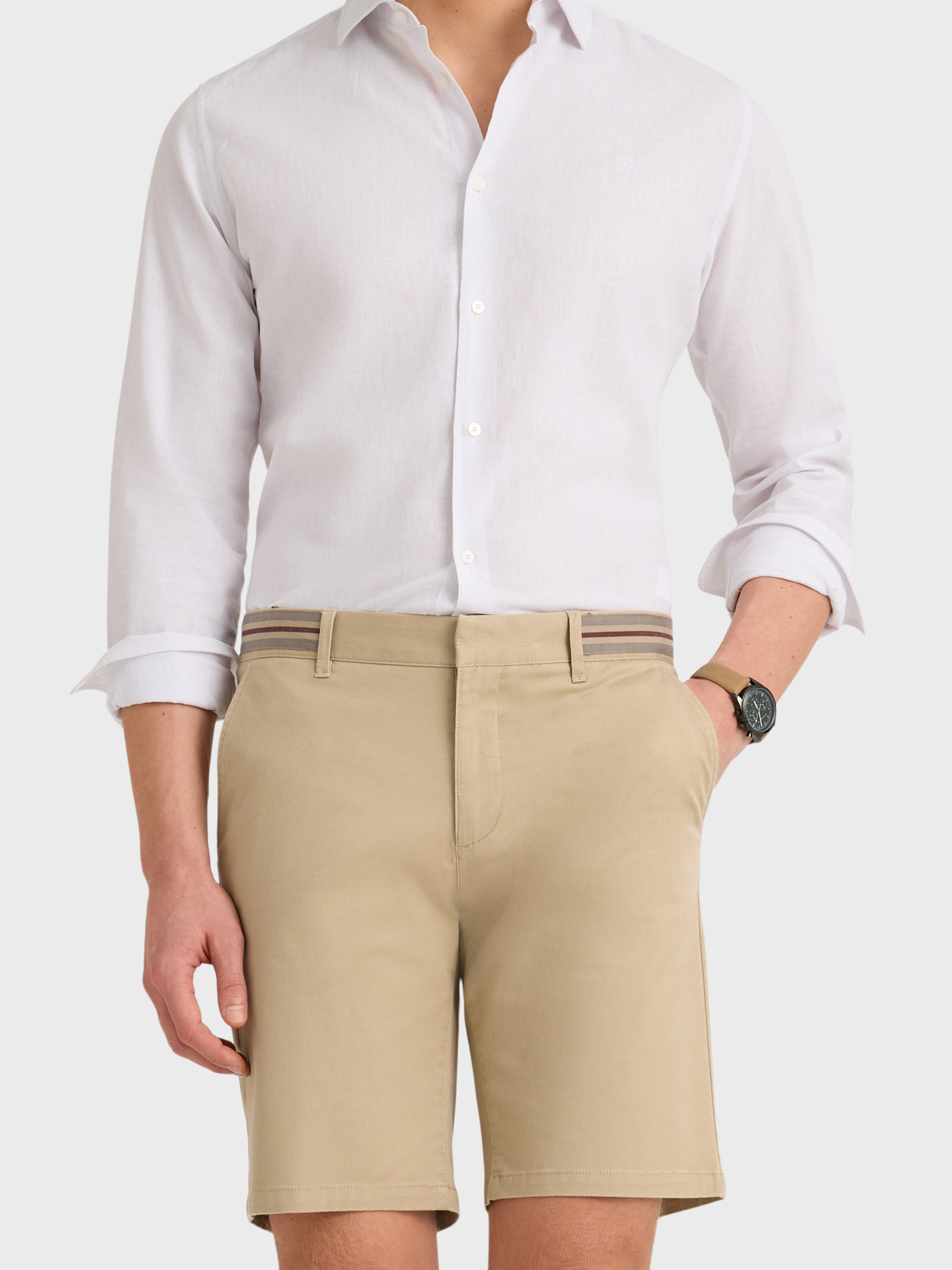 BERMUDA REGIMENTAL CAMEL