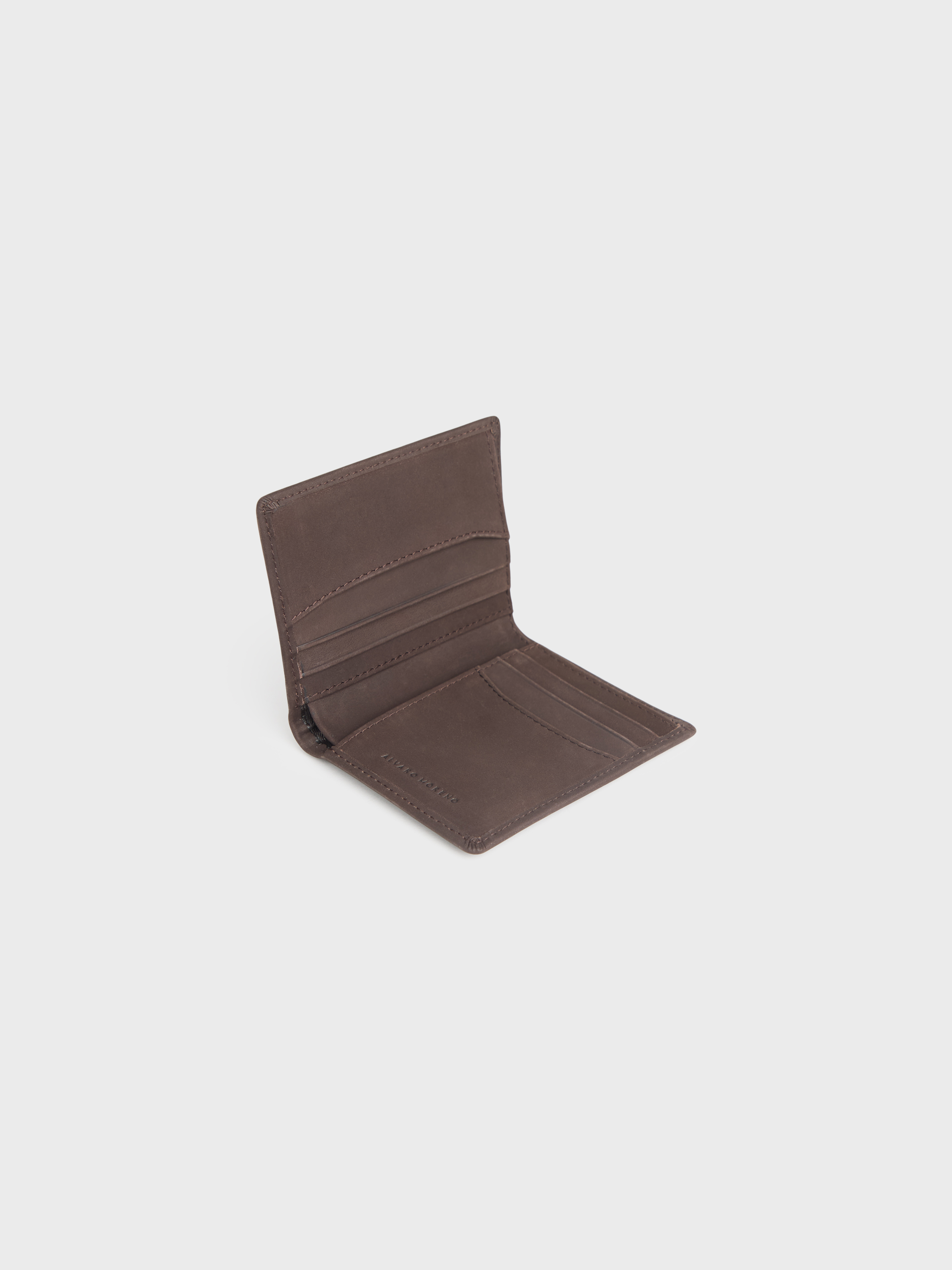 CARTERA ETNICA
