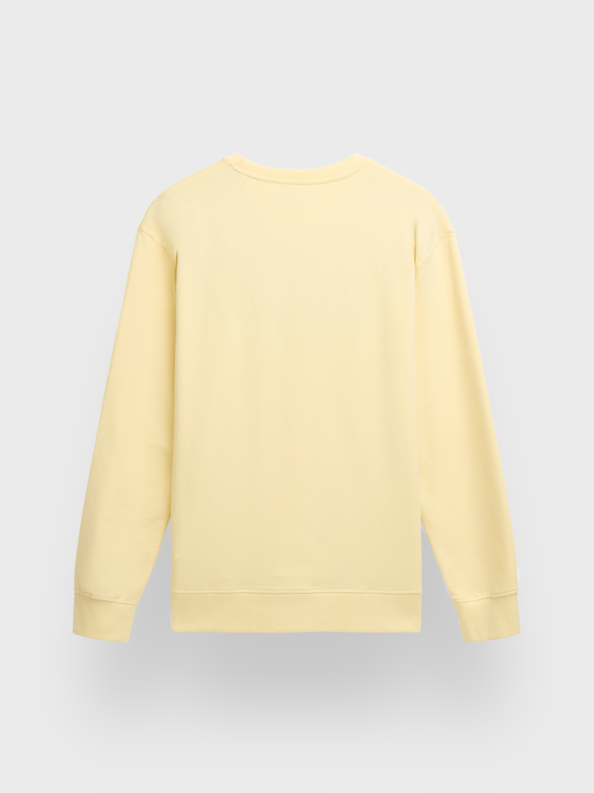 SUDADERA BASIC SPRING