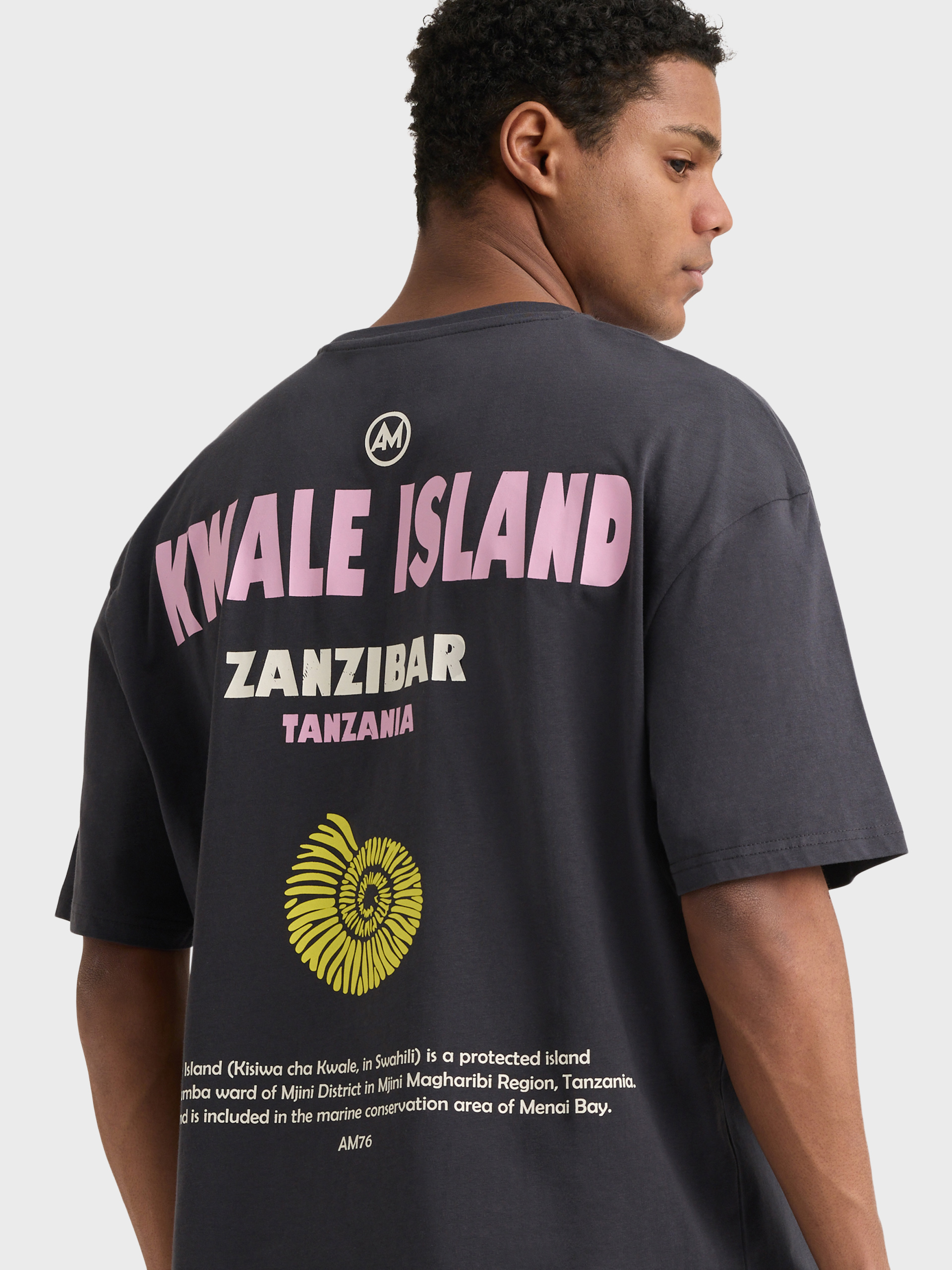CAMISETA ISLAND