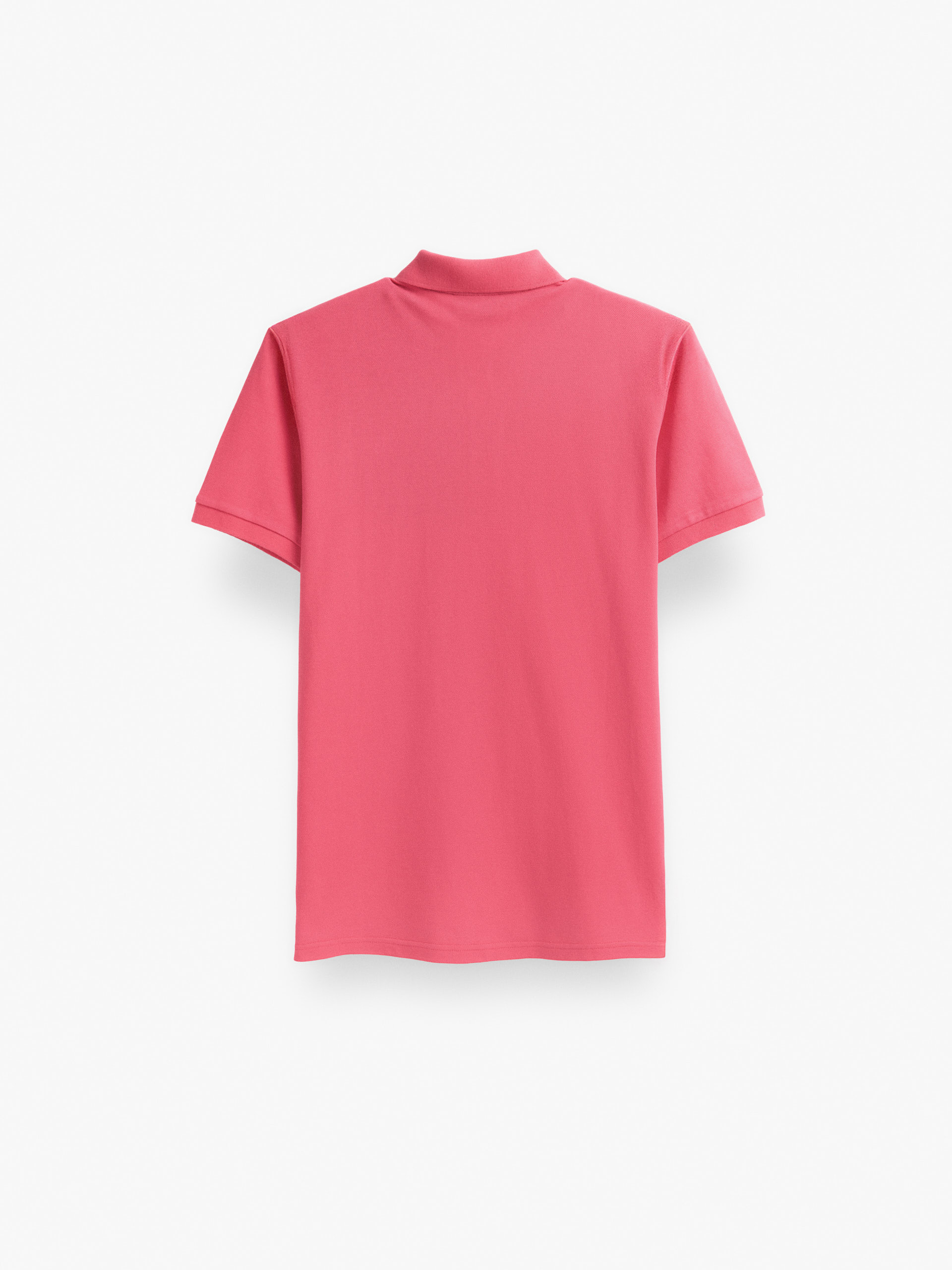 POLO TRENDY