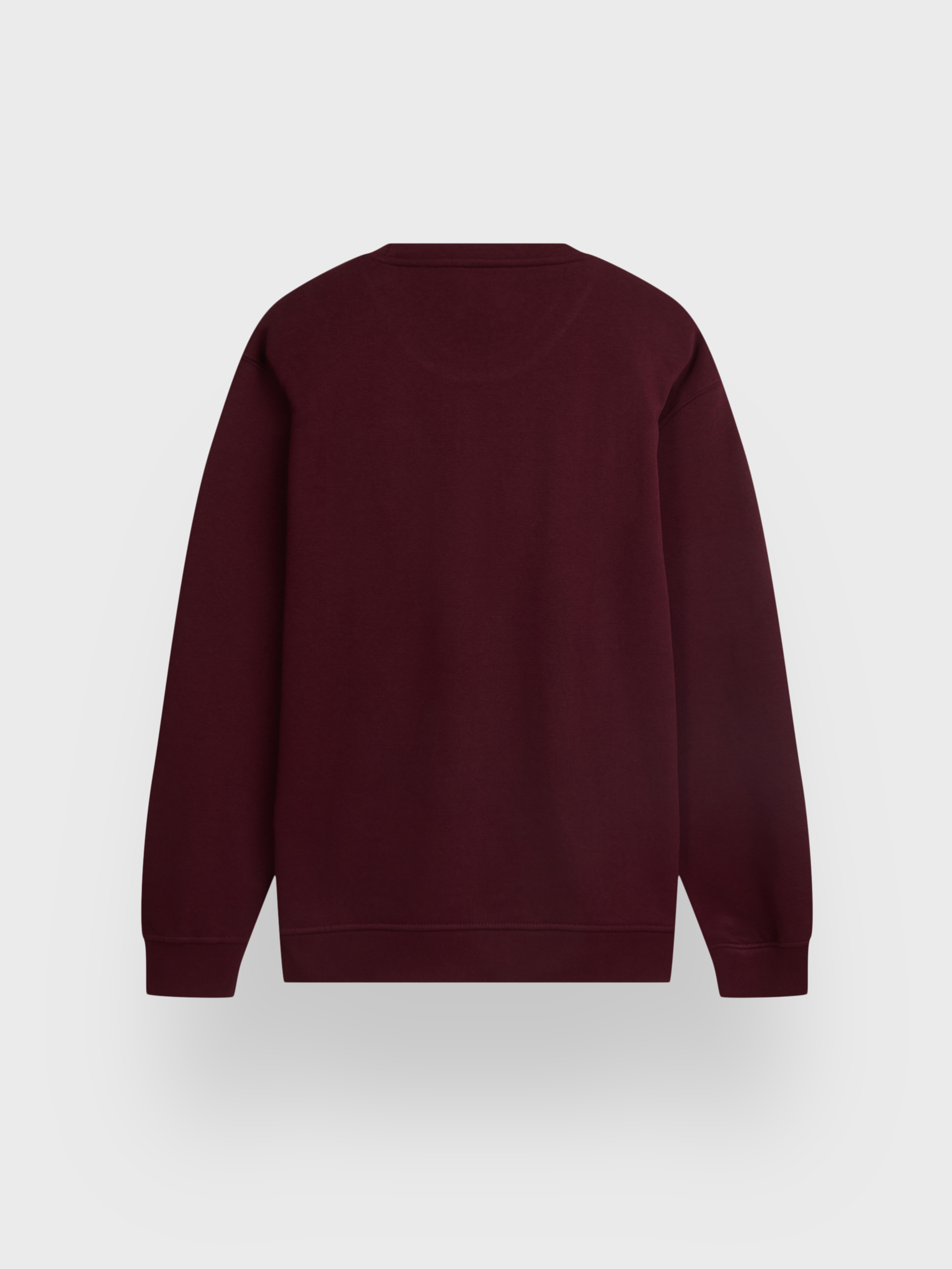 SUDADERA BASICA