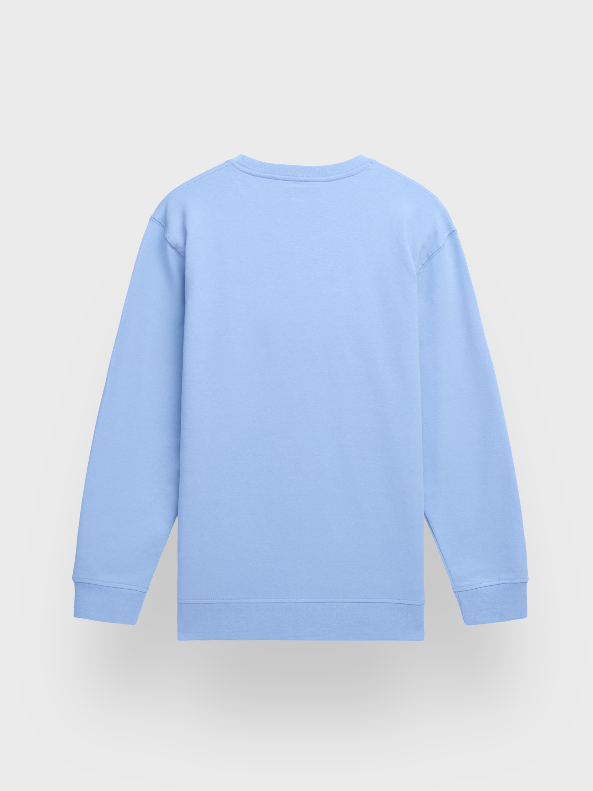 SUDADERA BASIC SPRING